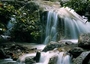 泉山森林公园